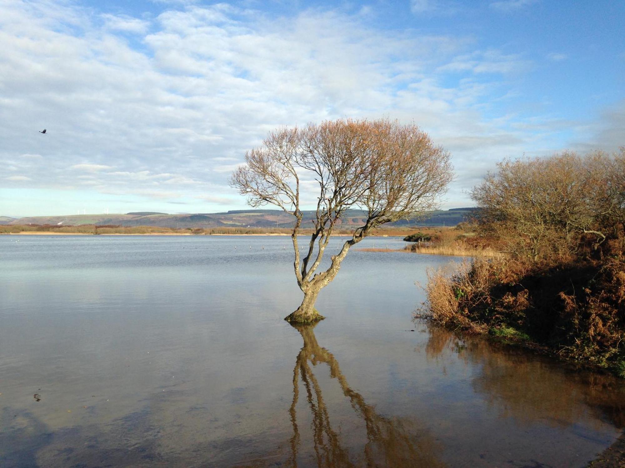 Kenfig Farm Villa Bridgend  Dış mekan fotoğraf